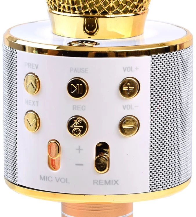Jokomisiada Wireless karaoke microphone speaker IN0136