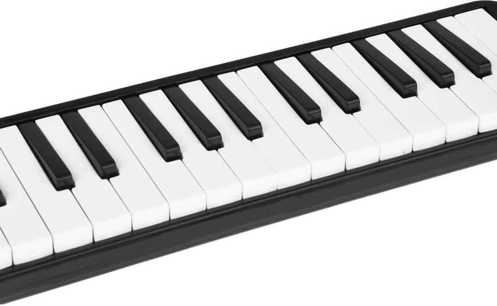 Jokomisiada Muzikos instrumentas Melodija Klaviatūros armonikos dėklas su dviem kandikliais IN0175