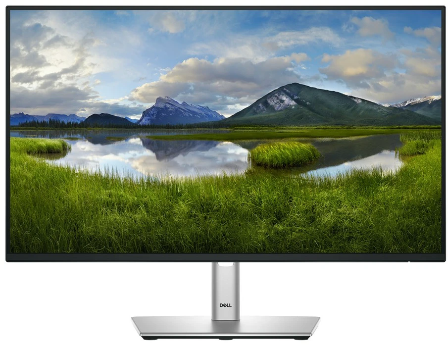 Monitorius Dell 24 P2425H, 60.5cm (23.8") / IPS /FHD(1920 x 1080 )/16:9 / 100 Hz /250 cd/m² /Height, Tilt, Swivel, Pivot /Garantija 36 mėn