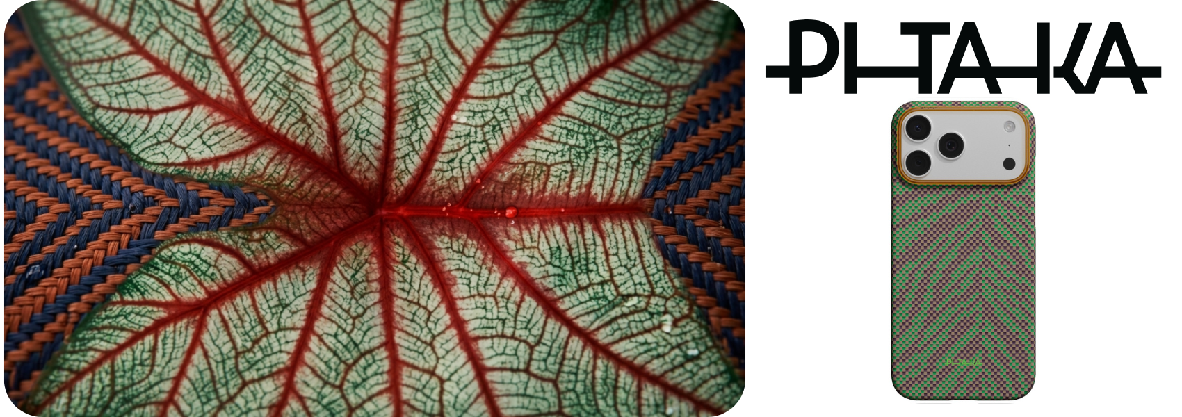 PITAKA Edge Dėklas Breath of Veins for Apple iPhone 17 Pro Max sprout surge aprašymas - Prekės nuotrauka