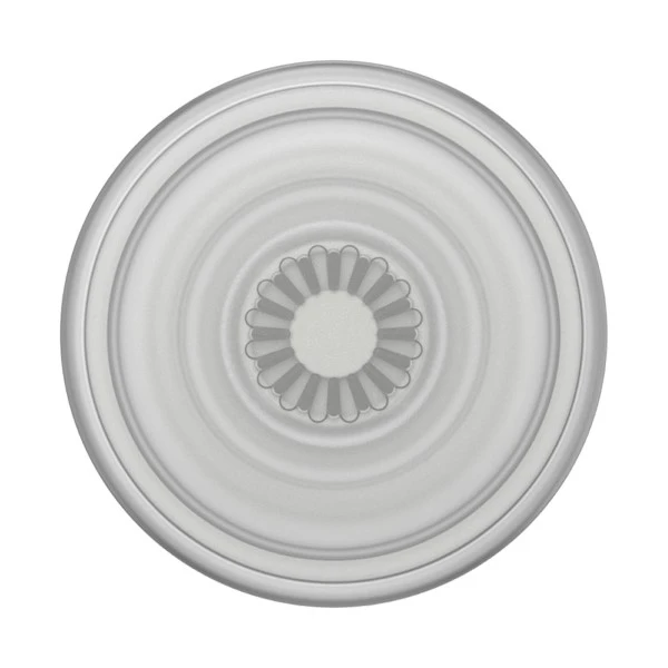 Popsockets PlantCore Grip Bee Boho 806486 telefono laikiklis aprašymas - Prekės nuotrauka Popsockets PlantCore Grip Bee Boho 806486 telefono laikiklis aprašymas - Prekės nuotrauka