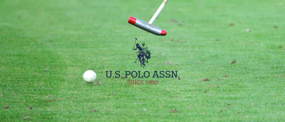 Us Polo Assn US Polo Ausinės Bluetooth USHPV6PUNH baltos spalvos DH Color Logo aprašymas - Prekės nuotrauka Us Polo Assn US Polo Ausinės Bluetooth USHPV6PUNH baltos spalvos DH Color Logo aprašymas - Prekės nuotrauka