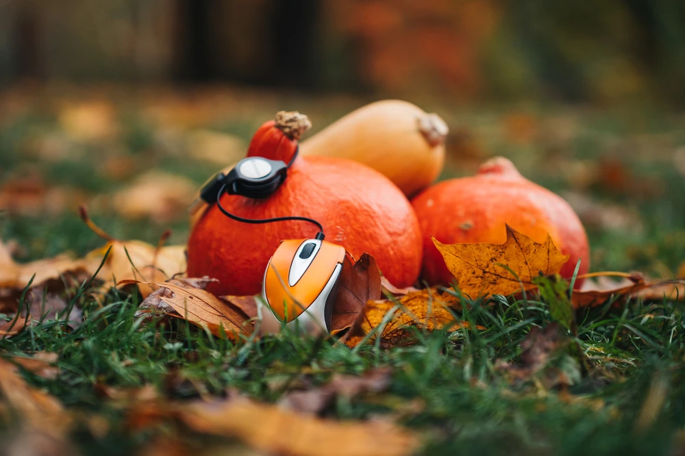 Verbatim Go Mini kompiuterinė pelė USB A tipo Optinis 1000 DPI aprašymas - Prekės nuotrauka Verbatim Go Mini kompiuterinė pelė USB A tipo Optinis 1000 DPI aprašymas - Prekės nuotrauka