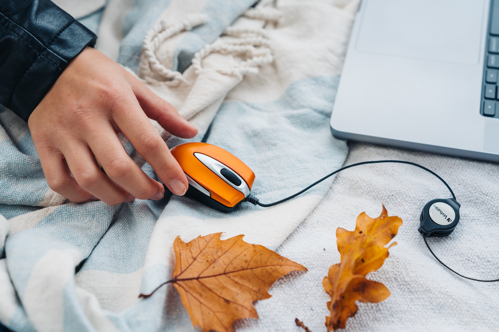 Verbatim Go Mini kompiuterinė pelė USB A tipo Optinis 1000 DPI aprašymas - Prekės nuotrauka