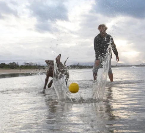 Waboba Fetch dog ball aprašymas - Prekės nuotrauka