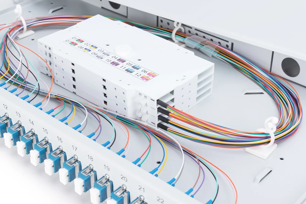 Assmann Electronic DIGITUS 19 colių šviesolaidinis stumdomas sujungimo dėžė 1U įrengtas 24xLC Duplex OS2 pilkas
