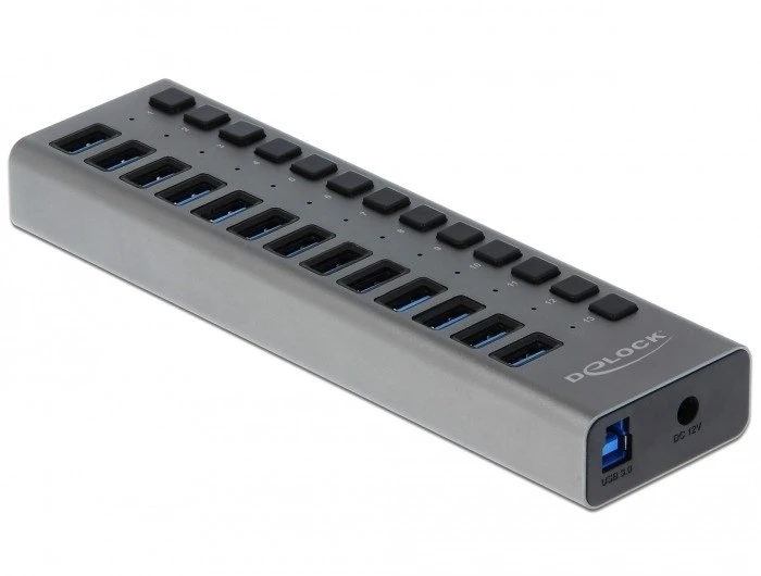 DLC Delock External SuperSpeed USB Hub su 13 prievadų + jungikliu