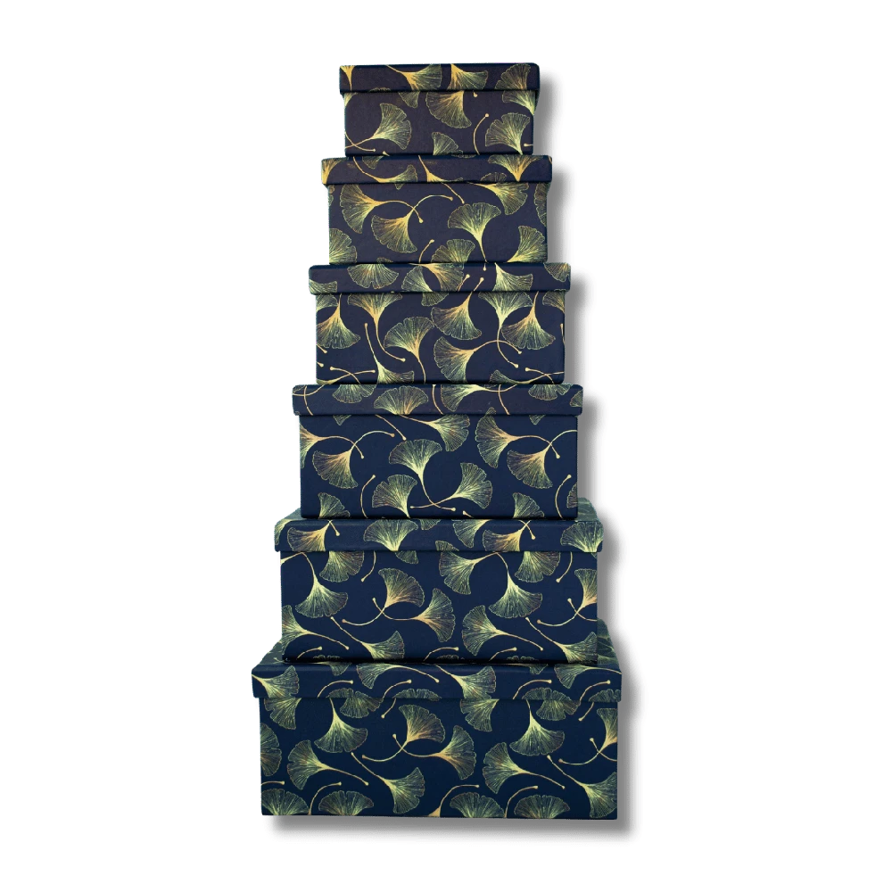 Dovanų dėžutė College 19x13.5x8mm, mėlynos spalvos