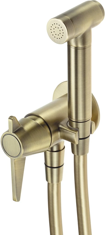 Potinkinis bidė dušelio komplektas Deante Temisto BQT_M34M, Brass