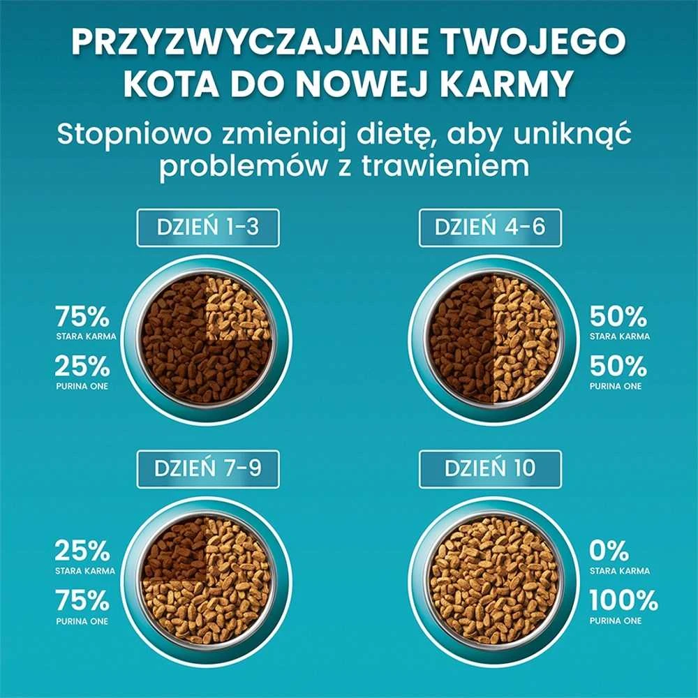 Purina Nestle One Bifensis Senior 7+ – sausas kačių maistas – 800g