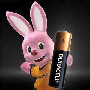 Elementai DURACELL AA/LR06, 1.5V, 10 vnt.