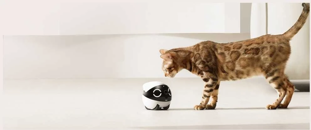 Enabot | ROLA Mini Pet Monitorius | Compact | 3 MP