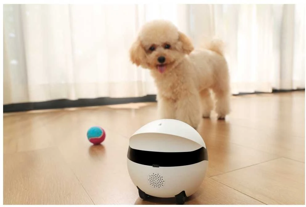 Enabot | ROLA Mini Pet Monitorius | Compact | 3 MP