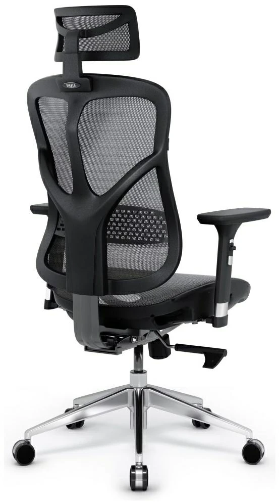 Ergonominė kėdė Diablo V-Basic Normal Ergonomic Chair, Pilkos/ Juodos spalvos
