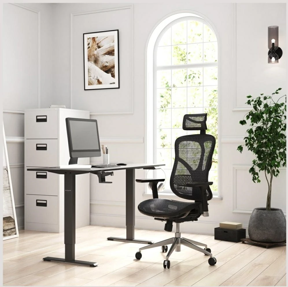 Ergonominė kėdė Diablo V-Basic Normal Ergonomic Chair, Juodos spalvos