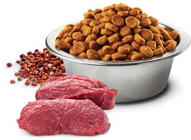 Sausas Šunų Maistas - Farmina N&D Quinoa Elnias & Kokosų 7kg Suaugusiems Vidutinio & Didelio Dydžio