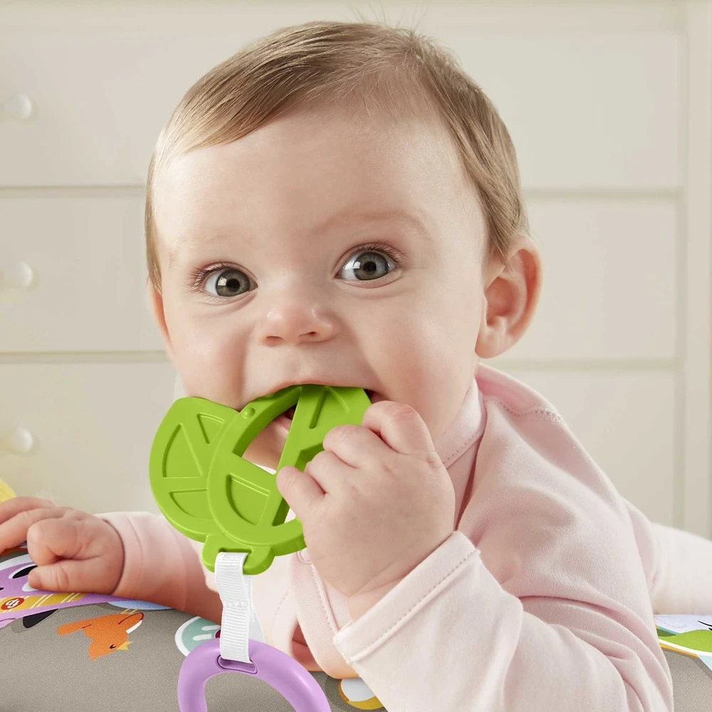 Fisher Price pagalvėlė tinginukas