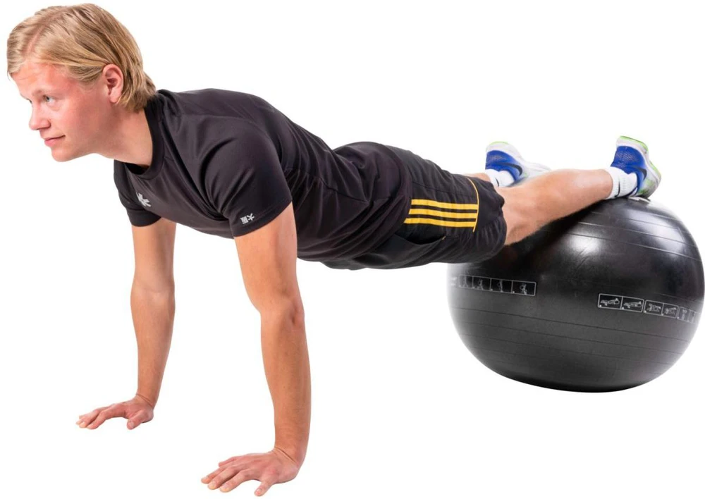 Pure2Improve | Exercise Ball | Juodas | 65 cm
