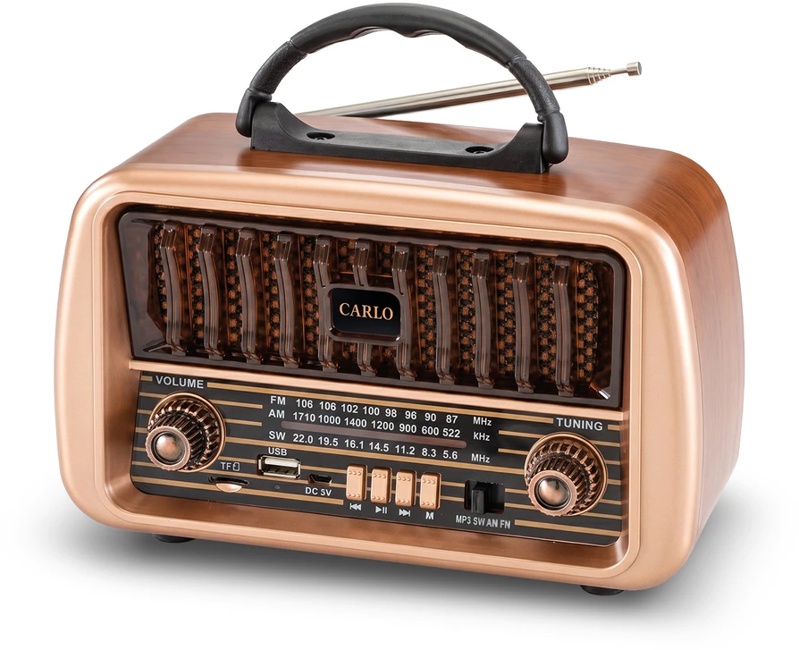 Forever Electro FM radijas CARLO JB-105 BT USB 1200mAh