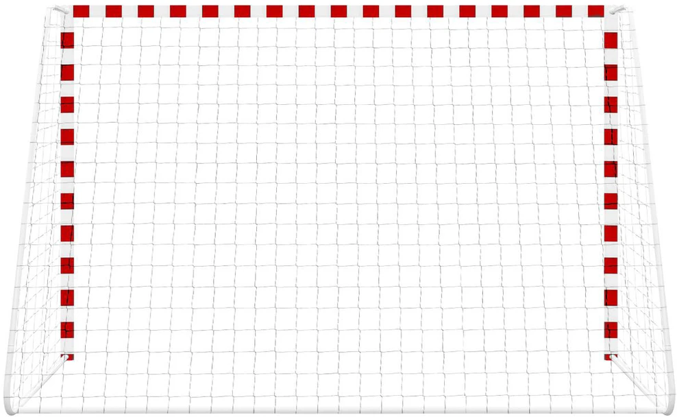 Futbolo vartai su tinklu 300x160x90 cm Enero