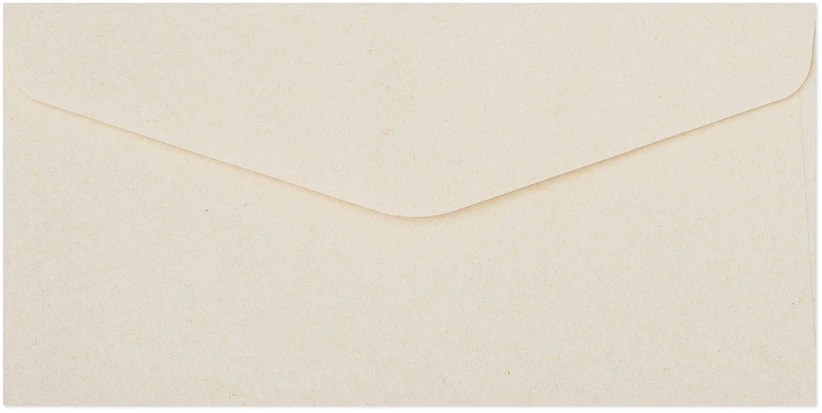 Galeria Papieru Vokai Galeri Papieru DL, Smooth light cream, 120g/m2, 10 vnt./pak.