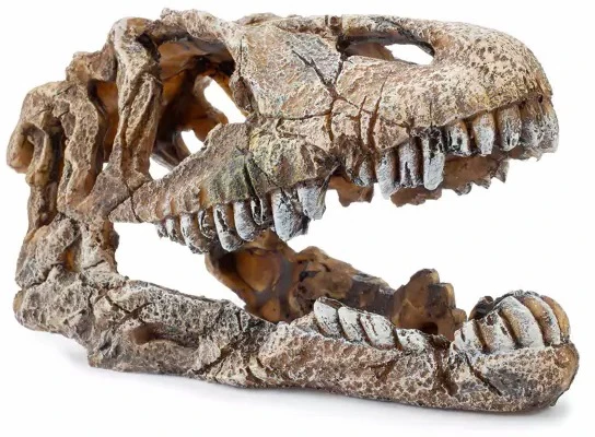 Happet Dekoracija dinozauro galva