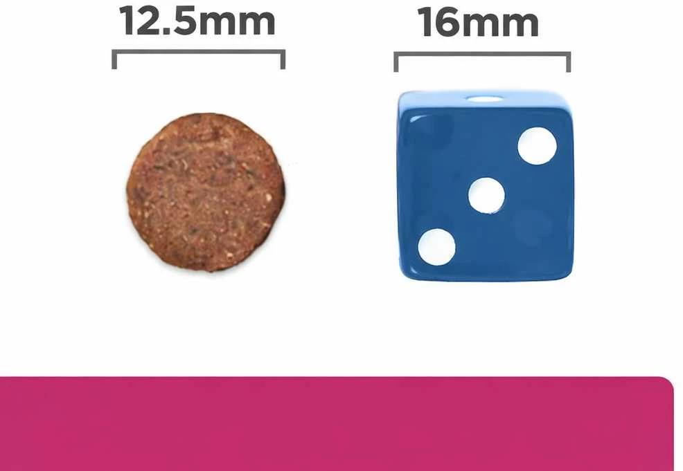 Sausas Šunų Maistas - Hill's PD Gastrointestinal Biome - 10 kg