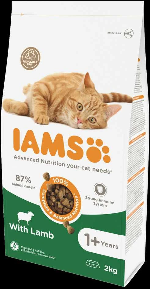 IAMS Adult Cat (ėriena) 10kg