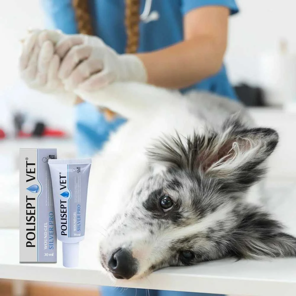 JM SANTE Polisept Vet žaizdų gelis Sidabrinis Pro - gelinis tvarstis šunims ir katėms – 30 ml