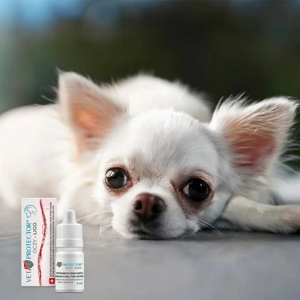 JM SANTE Vet Protector Ligo - akių lašai šunims ir katėms – 3 ml