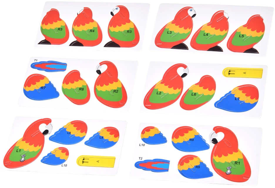 Dėlionė Jokomisiada 3D puzzle cardboard modelis colorful MACAW PARROT do it yourself DIY 24 pieces ZA5719