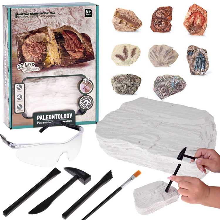 Dėlionė Jokomisiada Archaeology Kit Dig Up a Surprise Fossilized Leaves and Bones ZA5753