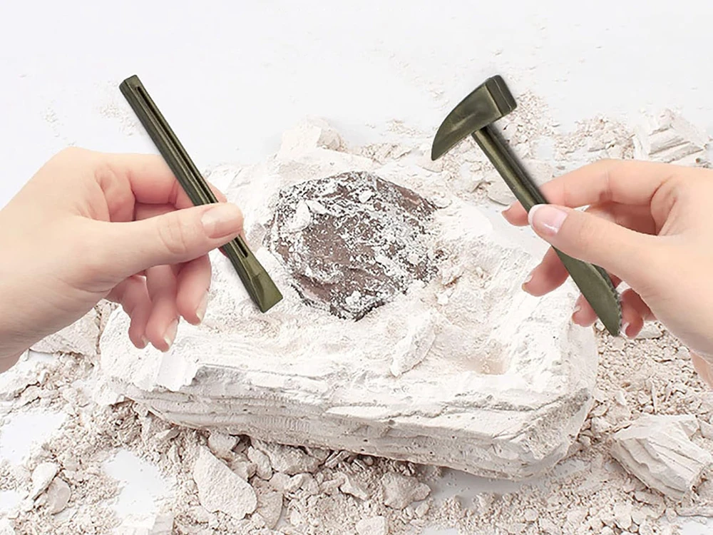 Dėlionė Jokomisiada Archaeology Kit Dig Up a Surprise Fossilized Leaves and Bones ZA5753