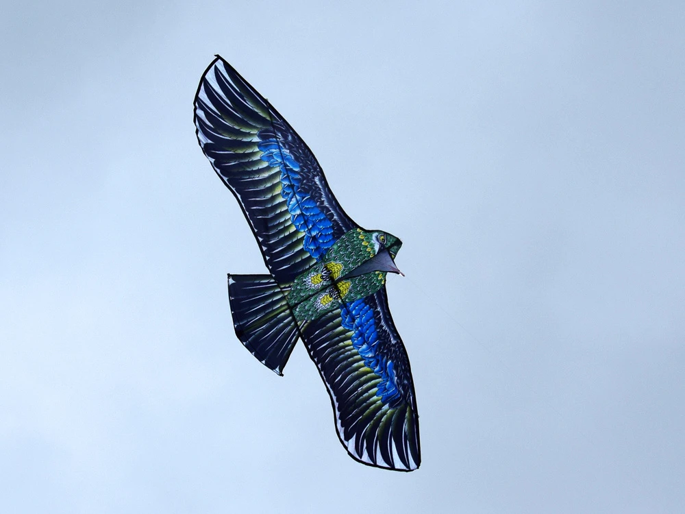 Jokomisiada Large Light Kite BIRD Eagle - Realistic predatory hunting bird ZA5572