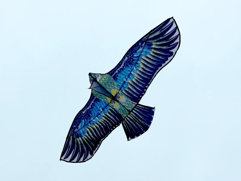 Jokomisiada Large Light Kite BIRD Eagle - Realistic predatory hunting bird ZA5572