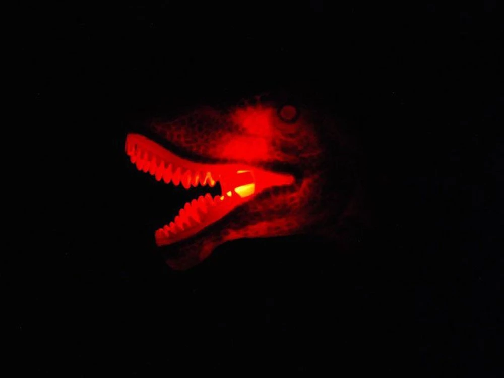 Jokomisiada Interaktyviai valdomas dinozauras T-Rex RC 0333