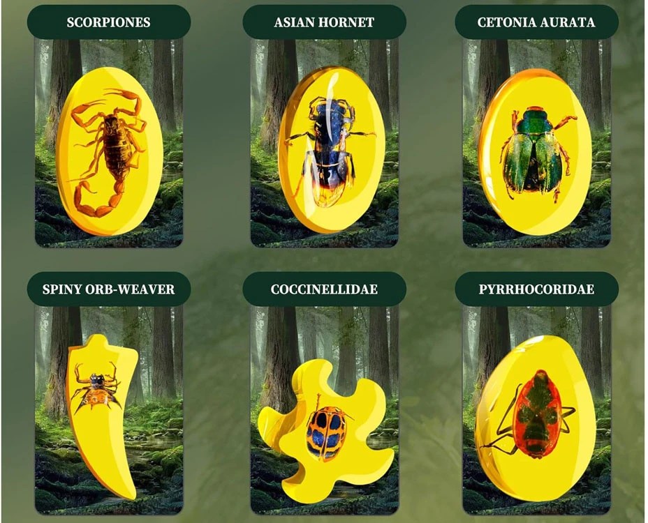 Jokomisiada Vabzdžių fosilijų gintaro archeologų rinkinys ZA4725