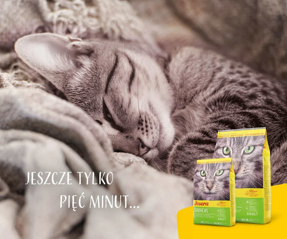 Josera SensiCat sausas maistas suaugusioms turinčioms jautrų skrandį katėms 10kg