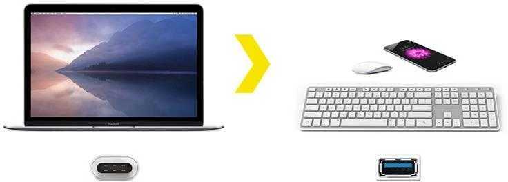 „Kanex“ USB-C į USB adapteris, 21 cm, baltas