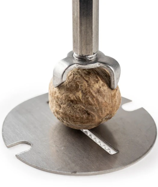 Peugeot Nutmeg grinder, 15 cm, Daman