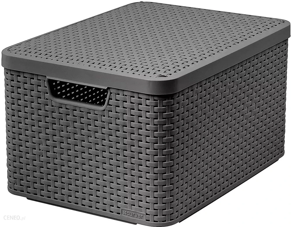 Curver Daiktadėžė su dangčiu Style, metalinė sidabrinė, 30l, L