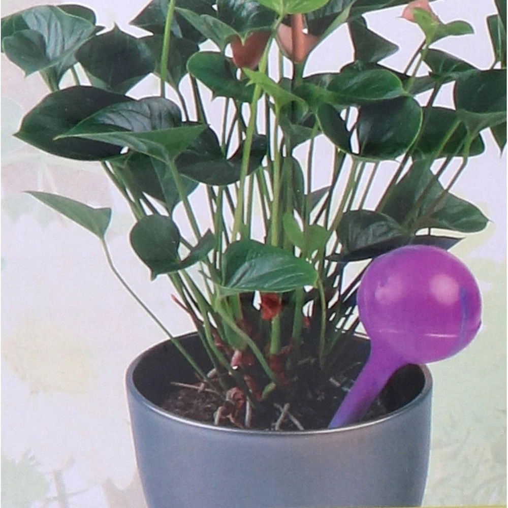 Kinzo Automatinė laistymo sistema 250 ml violetinė