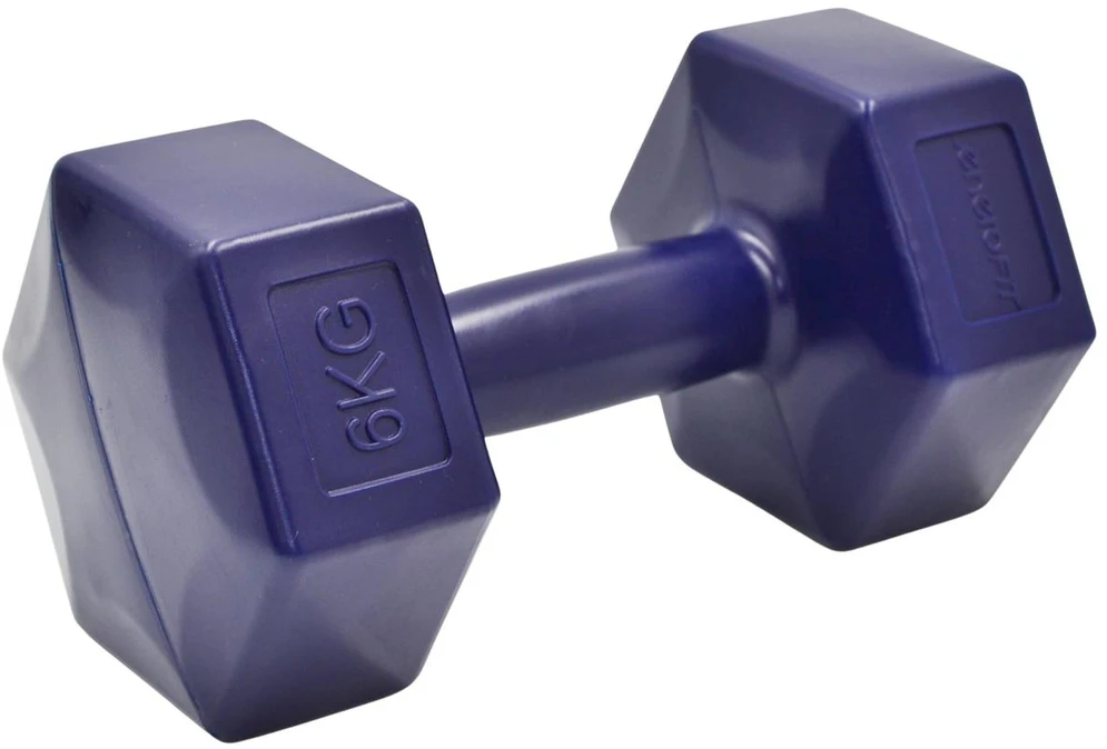 Dviturių hantelių rinkinys 2x6 kg ENERO FIT