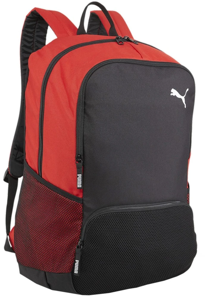 Puma Team Goal Premium kuprinė 90458 03