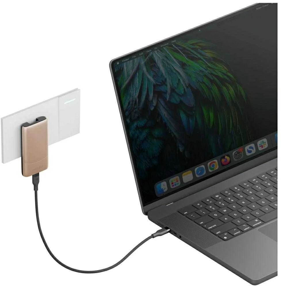 Laidinis įkroviklis Energea TravelWorld Edge 65W 2xUSB-C PD/PPS/QC3.0 (US/UK/EU) auksinis