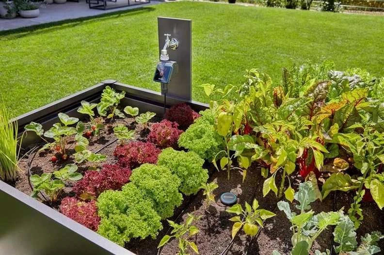 Gardena Pradinis rinkinys lysvėms/pakeltoms lysvėms (35 augalams)