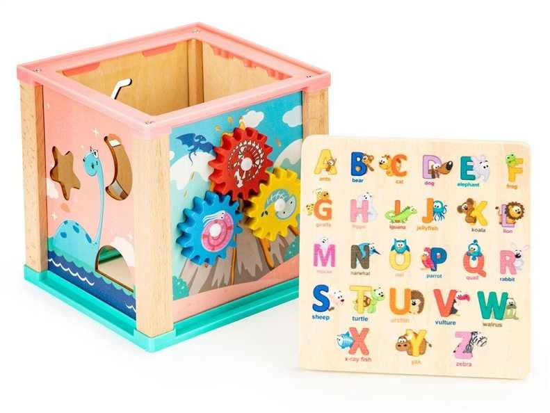 Cube Medinis lavinantis kubas, ECOTOYS mula rūšiuotojas