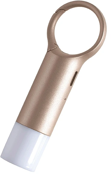 Lexon Nomaday Flash LED raktų pakabukas, auksinis, LL137D