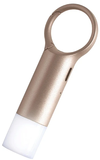 Lexon Nomaday Flash LED raktų pakabukas, auksinis, LL137D