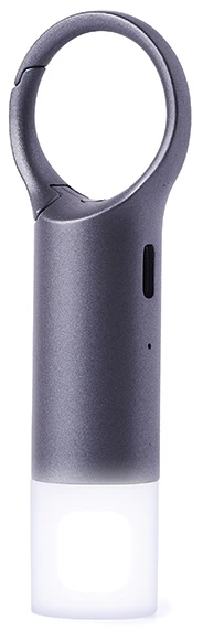 Lexon Nomaday Flash LED Keychain pilka/gun LL137X